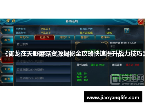 《御龙在天野蘑菇资源揭秘全攻略快速提升战力技巧》